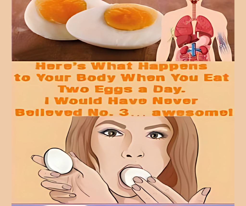 What happens if you eat two eggs a day