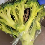 “Shocking Encounter: Man’s Horrifying Discovery Inside Bag of Aldi-Bought Broccoli”