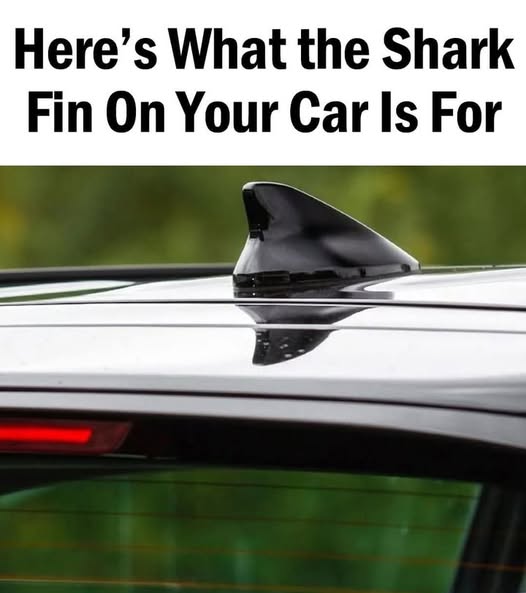 The Shark Fin On The Car Has A Crucial Function That I Wasn’t Aware Of