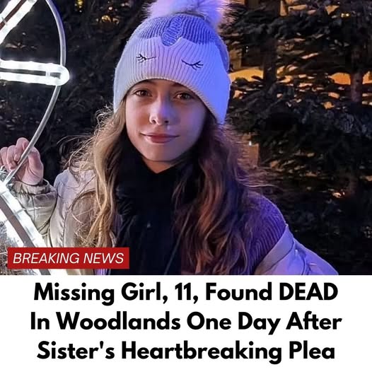 Tragic End to Search for Missing 11-Year-Old Girl in Woodland Area