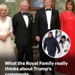 Why Trump’s Harry and Meghan move will be a ‘relief’ to Charles… as insider tells me savage comment that reveals how some in the Palace REALLY feel: RICHARD EDEN