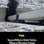 Several Killed in Multi-Vehicle Pileup in Wyoming Tunnel That Ignited Blaze