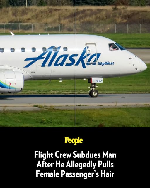 Flight Crew Subdues Man After He Allegedly Pulls Female Passenger’s Hair