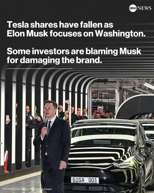 Tesla shares have plunged while Musk takes on Washington. Is that the reason?