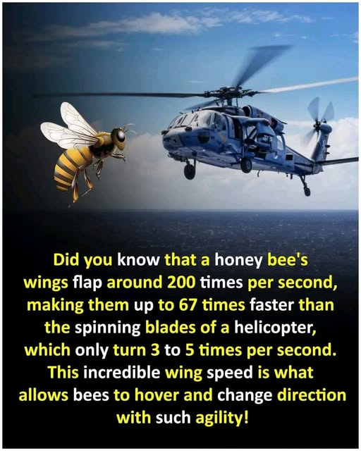 Join Weird & Wonderful Facts