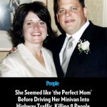 She Seemed like ‘the Perfect Mom’ Before Driving Her Minivan Into Highway Traffic and Killing 8. Why?