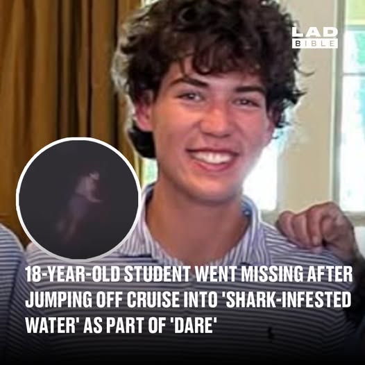 18-year-old student went missing after jumping off cruise into ‘shark-infested water’ as part of ‘dare’