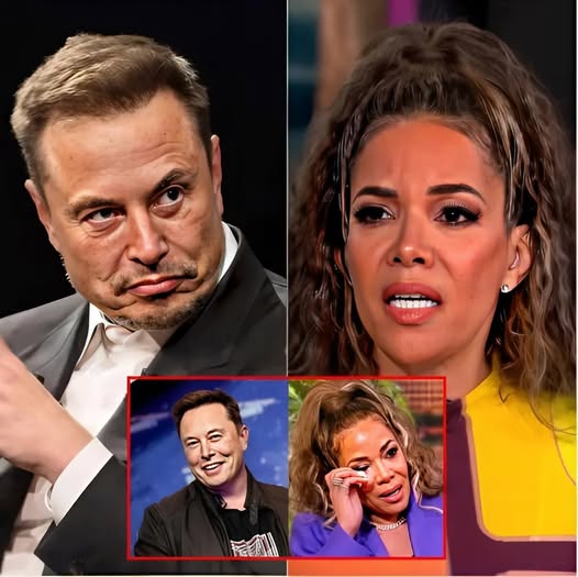 BREAKING: Sunny Hostin shocks the audience by calling Elon Musk a “bastard” on The Vi*ew. Musk’s reaction stuns the studio, prompting Joy Behar’s immediate apology