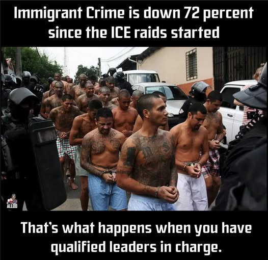 The Truth Behind Immigration, Crime, and ICE Raids