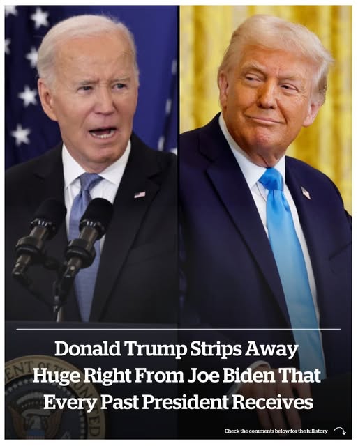 Trump says he is ‘immediately revoking’ Biden’s security clearance: ‘JOE, YOU’RE FIRED’