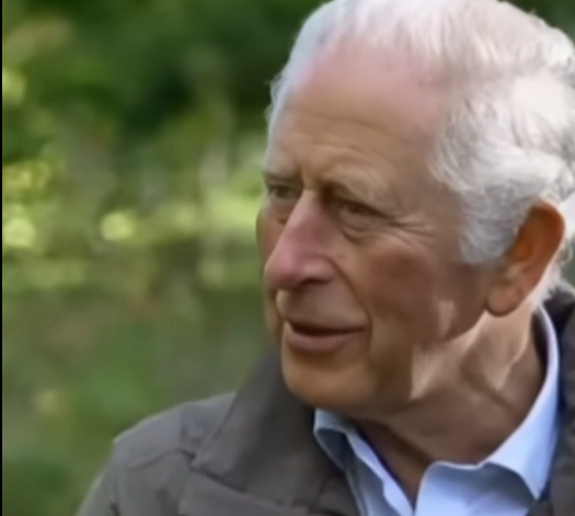 King Charles III Expresses Deep Sadness Over Tragic Aviation Incident