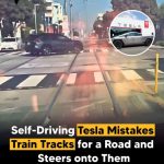 Self-Driving Tesla Confuses Train Tracks for Road, Sparks Safety Concerns