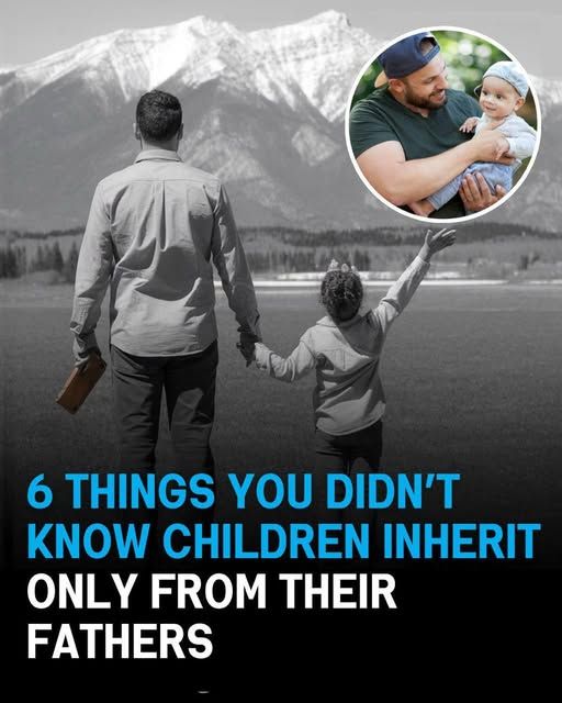 10 genetic traits you inherit from your father