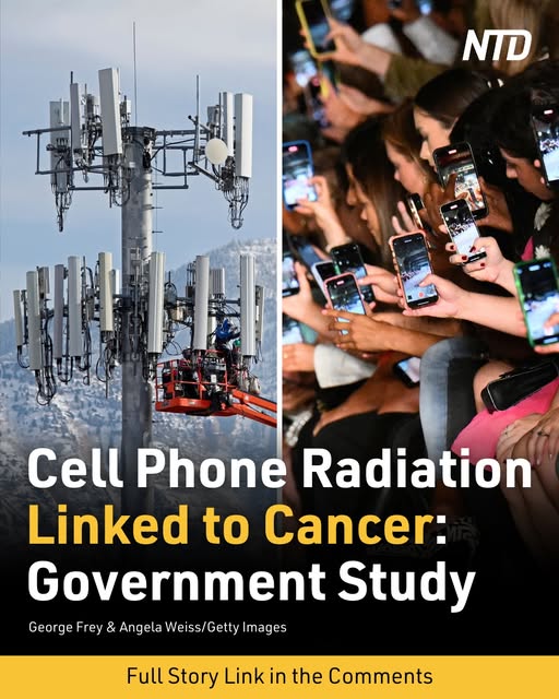 $30 Million Government-Funded Cell Phone Radiation Study Shows Clear Evidence of Cancer