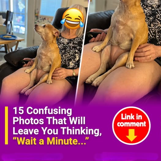 15 Confusing Photos That Will Leave You Thinking, “Wait a Minute…”