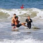 EGEND LOST Iconic actor has died today after being mauled to death in a shark attack. The video is hard to watch: