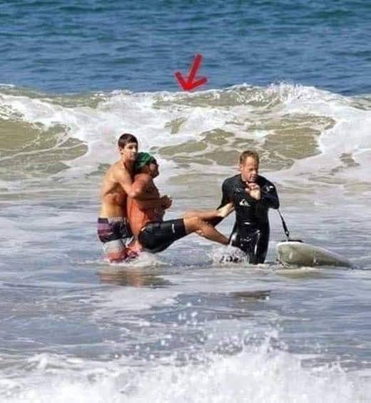 EGEND LOST Iconic actor has died today after being mauled to death in a shark attack. The video is hard to watch: