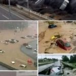⛵️9.1 magnitude earthquake also causes a large Tidal in the city of…See more