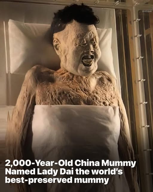 📰 BREAKING: 2,000-Year-Old Mummy With Liquid Blood Discovered in China!
