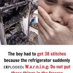 The boy had to get 38 stitches because the refrigerator suddenly ᴇxᴘʟᴏᴅᴇᴅ: W.a.r.n.i.n.g: Do not put these things in the freezer