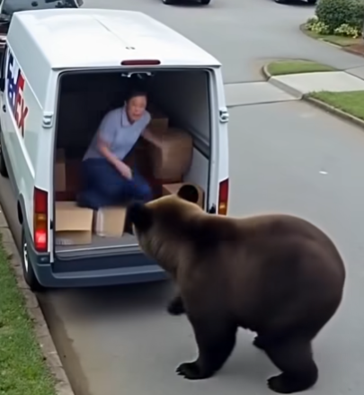 Delivery Drivers vs Animals | When Things Go Wrong
