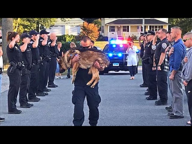 K9 Police Dogs Funeral Processions. 🐕‍🦺🐕‍🦺Thank You for Your Service.